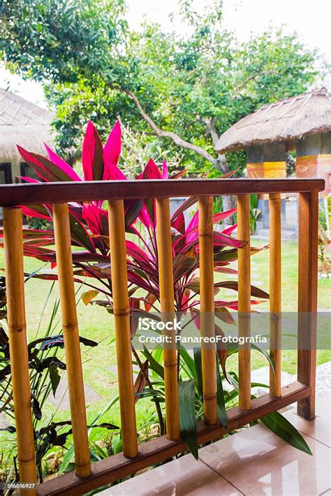 Pagar Bambu Dan Taman Foto Stok - Unduh Gambar Sekarang - Atap jerami